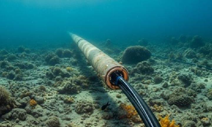 Padtec volta a atuar em infraestrutura submarina e compra empresa