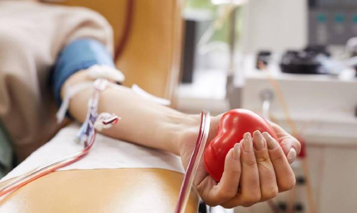 Prefeitura de Indaiatuba reforça importância da doação de sangue com dois pontos de coleta regulares