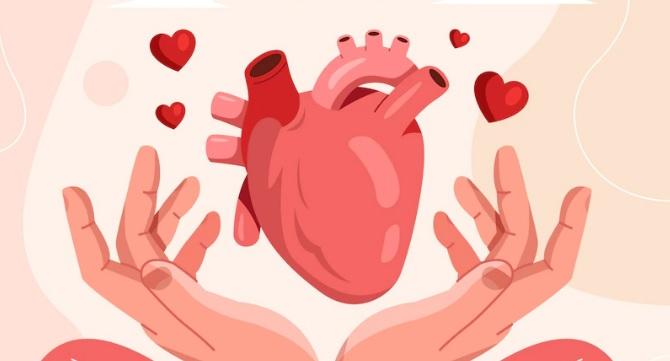 HAOC realiza primeira captação de órgãos de 2023