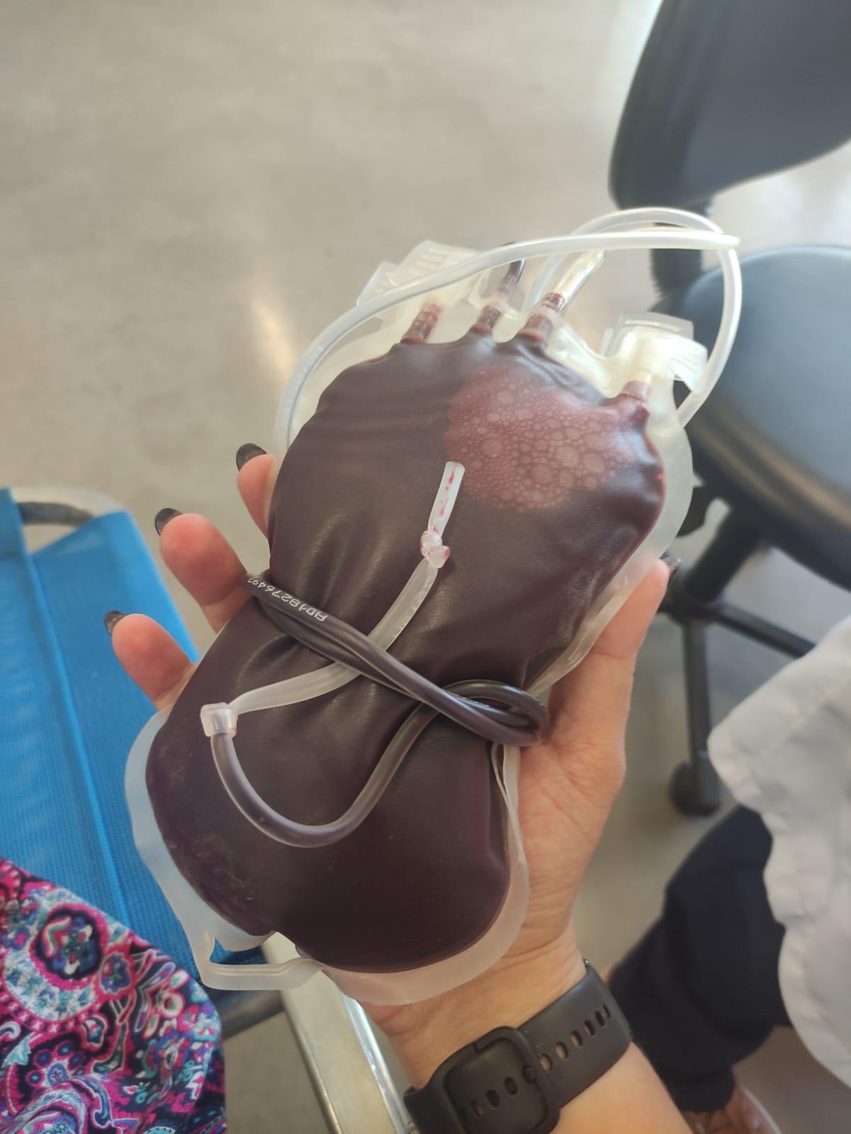 Primeira campanha de doação de sangue de 2023 será no sábado (28)