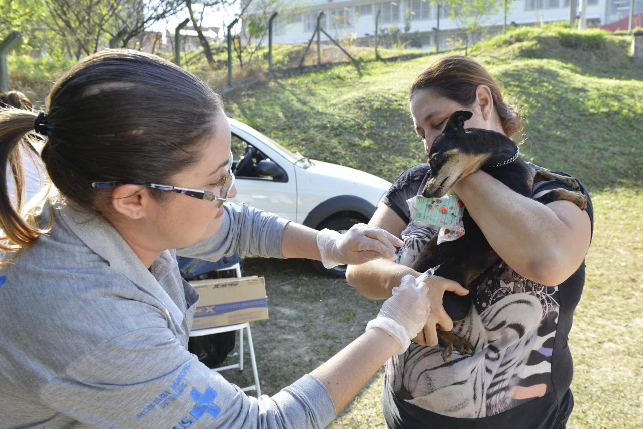 Vacinação contra raiva animal começa este mês no Jardim Brasil e arredores