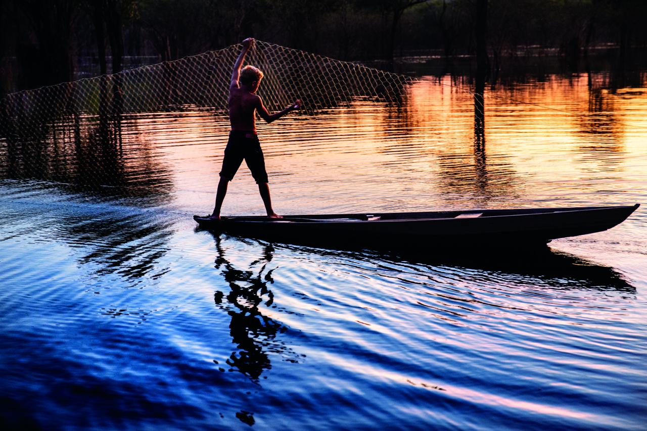C6 Bank distribui livro sobre Amazônia para escolas, ONGs e bibliotecas