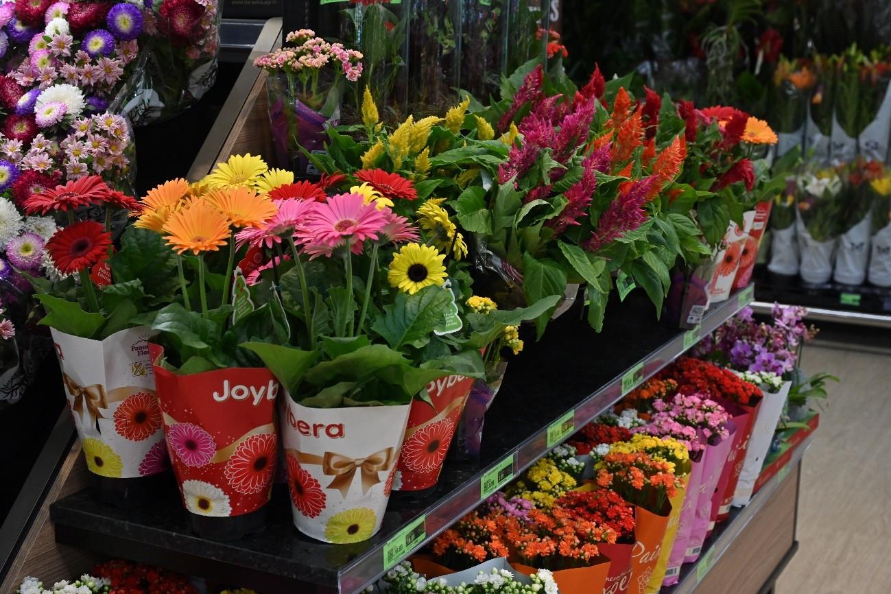 Vendas de floricultura crescem 45% no Covabra