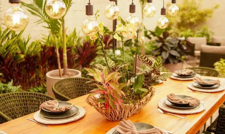 Expoflora 2026 apresenta 18 ambientes que unem paisagismo, bem-estar e convivência